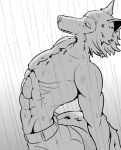  abs absurd_res anthro beastars canid canine canis clothed clothing furry_bb greyscale hi_res legoshi_(beastars) male mammal monochrome muscular muscular_male pecs raining solo topless wet wolf 