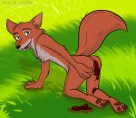  3_toes 4_fingers anthro anus bopoop butt canid canine chest_tuft disney feces feet fingers fluffy fluffy_tail fox fur grass head_tuft kneeling male mammal nude open_mouth open_smile orange_body orange_fur pawpads plant pooping raised_tail robin_hood robin_hood_(disney) scat sharp_teeth smile solo teeth toes tuft 