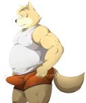  2022 5:6 absurd_res anthro belly blush bulge canid canine canis clothed clothing domestic_dog erection erection_under_clothing hi_res humanoid_hands kemono male mammal overweight overweight_male simple_background skyverchase solo underwear white_background 