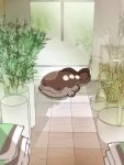 ._. :3 clodsire commentary_request highres indoors no_humans on_floor plant pokemon pokemon_(creature) potted_plant shelf solid_circle_eyes solo takuhe_0410 tile_floor tiles 