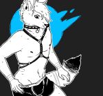  anthro briefs canid canine canis cheek_tuft clothing collar ear_piercing facial_tuft gauged_ear hair hair_over_eye half-closed_eyes harness inner_ear_fluff male mammal monochrome narrowed_eyes one_eye_obstructed piercing simple_background sinsquest solo spiked_collar spikes tuft underwear wolf 