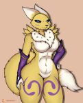  anthro bandai_namco blue_eyes breasts canid canine canis clothing digimon digimon_(species) female fingerless_gloves fluffy fluffy_tail fox gloves hand_on_hip handwear hi_res looking_at_viewer mammal neck_tuft renamon skade_(artist) smile solo spread_legs spreading tuft wide_hips 