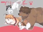  animalization bear black_hair bleach blue_eyes brown_eyes brown_hair cat full_body glasses hair_ornament hair_over_eyes hairpin inoue_orihime ishida_uryuu kurosaki_ichigo live_unyanya looking_at_viewer no_humans orange_hair rabbit sado_yasutora short_hair spiked_hair 