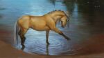  ambiguous_gender day deith_cared detailed_background digital_media_(artwork) equid equine feral hi_res hooves horse mammal outside partially_submerged solo standing water 
