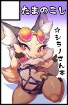  anthro black_border blush border breasts canid canine clothed clothing condom cygames eyewear female fox fur hi_res inner_ear_fluff kemono mammal neck_tuft nipple_outline pink_nose red_eyes sexual_barrier_device shirano short_stack simple_background smile solo sunglasses swimwear tamanosuke tuft world_flipper 