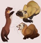  ambiguous_gender beady_eyes black_nose blackscour brown_body brown_fur feral fur hi_res neck_tuft open_mouth side_view simple_background sketch_page species_request tan_body tan_claws tan_fur three-quarter_view tuft whiskers white_background white_body white_fur 