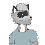  anthro hi_res male mammal procyonid puro_the_raccoon puromt raccoon solo 