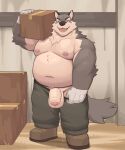  2022 5:6 anthro balls belly black_ears blue_eyes bottomwear canid canine clothed clothing eyebrows flaccid footwear foreskin fur genitals glans gloves grey_body grey_fur grey_tail handwear hi_res male mammal moki multicolored_body multicolored_fur navel nipples overweight overweight_anthro overweight_male pants partially_clothed penis presenting presenting_penis teeth tongue topless 