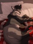  absurd_res bed_covers bed_sheet bedding bedding_background bedroom bottomless canid canine clothed clothing feral fox fur grey_body grey_fur hi_res hoodie hoodie_only invalid_tag light male mammal morning sunlight topwear topwear_only 