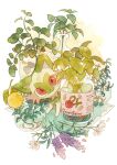  bowl flower food fruit highres jar leaf looking_at_viewer no_humans oharu-chan peeking_out pokemon pokemon_(creature) red_eyes solo sprigatito white_flower 