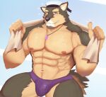  abs anthro brown_body brown_fur bulge canid canine canis clothing domestic_dog fur hi_res kaibaronfur lifewonders live-a-hero male mammal muscular muscular_anthro muscular_male nipples pecs pubraseer sailor_hat solo speedo swimwear video_games 