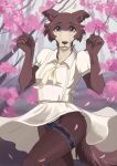  absurd_res accessory beastars brown_body brown_fur canid canine canis cherry_blossom clothing female fur garter hi_res juno_(beastars) looking_at_viewer mammal outside panties petals plant provocative purple_eyes solo suggestive tree underwear upskirt wolf 