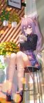  1girl absurdres alternate_costume black_shirt braid casual closed_mouth cup double_bun full_body genshin_impact hair_bun highres holding holding_cup keqing_(genshin_impact) lazy_yuanying long_sleeves plaid plaid_skirt plant ponytail potted_plant purple_eyes purple_hair shirt sitting skirt twintails 