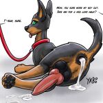  absurd_res animal_genitalia animal_penis anus balls bestiality bodily_fluids canid canine canine_penis canis collar cum cum_drip cum_in_ass cum_inside cum_pool dialogue dobermann domestic_dog dripping feral gaping gaping_anus genital_fluids genitals hi_res leash_and_collar looking_back lying male mammal on_side pawpads paws penis pinscher raised_tail solo tongue tongue_out yaboo 