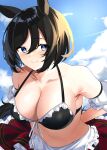  1girl 89ru0 animal_ears armpit_crease arms_behind_back bikini bikini_top_only black_bikini black_hair blue_sky blush bob_cut breasts cleavage cloud collarbone commentary day detached_sleeves eishin_flash_(umamusume) front-tie_bikini_top front-tie_top hair_between_eyes highres horse_ears horse_girl large_breasts leaning_forward light_smile looking_at_viewer medium_hair outdoors puffy_short_sleeves puffy_sleeves purple_eyes red_skirt short_sleeves sidelighting sideways_glance skirt sky smile solo striped striped_skirt swimsuit umamusume vertical-striped_skirt vertical_stripes 