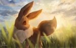  blurry closed_mouth cloud commentary_request eevee grass looking_back momomo12 no_humans outdoors pokemon pokemon_(creature) red_eyes signature sky solo standing 