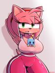  accessory ambiguous_gender amy_rose anthro between_breasts bodily_fluids bottomwear breasts breath chao_(sonic) cleavage clothed clothing crossxvii duo eulipotyphlan female fur green_eyes hair_accessory hairband hands_behind_head hedgehog hi_res mammal panting pants pink_body pink_fur sega shirt sonic_the_hedgehog_(series) sweat topwear wet wet_clothing 