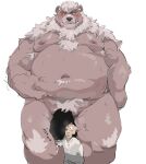 2022 anthro balls belly big_belly canid canine censored clothing duo genitals hi_res iwbsb_kuma kemono kimun_kamui_(tas) lifewonders male mammal moobs navel nipples overweight overweight_male penis shirt simple_background size_difference tokyo_afterschool_summoners topwear ursid video_games 