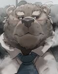  2022 absurd_res anthro bodily_fluids clothing hi_res iwbsb_kuma kemono male mammal musk necktie overweight overweight_male portrait shirt solo_focus sweat topwear ursid 