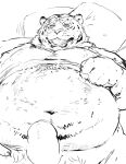  2022 anthro belly big_belly censored clothed clothing clothing_lift erection felid genitals hi_res iwbsb_kuma kemono male mammal navel overweight overweight_male pantherine penis shirt shirt_lift solo tiger topwear 