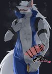  abs animal_genitalia animal_penis anthro balls blush bodily_fluids canid canine canine_penis canis censored clothing erection fur genital_fluids genitals grey_body grey_fur hair hi_res humanoid_genitalia humanoid_penis jacket mammal penis precum pretty_cure topwear white_hair wolf wolfrun zaramecatnyar 