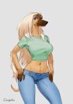 afghan_hound anthro blonde_hair bottomwear breasts canid canine canis clothed clothing conqista denim denim_clothing domestic_dog eyeshadoe female fully_clothed fur hair hand_on_hip hunting_dog jeans lipstick long_hair looking_at_viewer makeup mammal midriff navel pants sighthound simple_background smile solo tan_body tan_fur white_background 