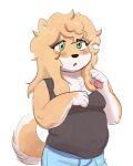  2022 20daysapple anthro canid canine canis chubby_male clothing domestic_dog fur girly green_eyes hair hi_res hinata_takamura long_hair male mammal multicolored_body multicolored_fur pawpads shiba_inu shirt simple_background solo spitz tan_body tan_fur tank_top topwear two_tone_body two_tone_fur white_background white_body white_fur 