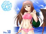  bikini brown_hair deed deed_(nanoha) lyrical_nanoha mahou_shoujo_lyrical_nanoha mahou_shoujo_lyrical_nanoha_strikers mizugi number numbers numbers_(nanoha) swimsuit 