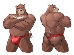  2017 anthro asian_clothing belly biceps black_nose blush brown_body brown_fur bulge butt chest_markings clothed clothing countershade_snout countershading crossed_arms east_asian_clothing front_view fundoshi fundoshi_only fur japanese_clothing juuichi_mikazuki looking_at_viewer maldu male mammal markings morenatsu multiple_poses musclegut muscular muscular_male muscular_thighs navel pecs portrait pose rear_view red_clothing red_fundoshi red_underwear short_tail simple_background snout solo tail_motion tailwag tan_body tan_fur three-quarter_portrait underwear underwear_only ursid video_games visual_novel white_background 