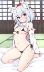  1girl animal_ears breasts closed_mouth detached_sleeves hat highres inubashiri_momiji looking_at_viewer medium_breasts navel red_eyes red_headwear rizento short_hair sitting smile solo tail thighs tokin_hat touhou wariza white_hair white_sleeves wolf_ears wolf_girl wolf_tail 