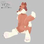  1:1 anthro anus balls breasts butt canid canine cel_shading digital_media_(artwork) fox genitals gynomorph hair hi_res intersex mammal mynka nipples nude pawpads paws penis pinup pose presenting presenting_anus presenting_hindquarters raelynn_(mynka) raised_tail shaded simple_background solo spreading 
