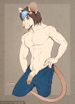 anthro blue_eyes bottomwear bottomwear_down brown_hair clothed clothing erection foreskin genitals hair hand_on_hip hi_res highlights_(coloring) humanoid_genitalia humanoid_penis looking_at_viewer male mammal mouse murid murine pants pants_down partially_clothed penis pinup pose rodent shirtless solo tanutanuki whiskers 