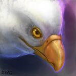  2022 accipitrid accipitriform alcander anthro avian bald_eagle beak bird dsw7 eagle feathers looking_at_viewer male portrait sea_eagle solo white_body white_feathers yellow_eyes 