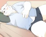  2022 anthro belly blush bulge canid canine canis clothing domestic_dog eyes_closed furniture hi_res inunoshippo kemono lying male mammal overweight overweight_male pillow shirt sleeping sofa solo topwear underwear 