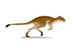  allotheria ambiguous_gender bipedal_feral brown_body feral hi_res hypomartyria running tail_tuft tuft 