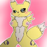  1:1 absurd_res anthro bandai_namco blush breasts digimon digimon_(species) famousfen female genitals hands_behind_back hi_res looking_at_viewer multicolored_body presenting pussy renamon simple_background sitting smile solo yellow_body 