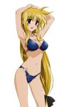  absurdres bikini breasts cleavage extraction fate_testarossa highres lyrical_nanoha mahou_shoujo_lyrical_nanoha mahou_shoujo_lyrical_nanoha_strikers swimsuit vector vector_trace 