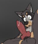  anthro balls bodily_fluids canid canine canis domestic_dog edging fluffy_balls genital_fluids genitals knot leaking_precum male mammal muscular_thighs plump_balls precum ricthecusco skinny solo stare sweat 