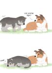  aman_(weibo) black_eyes bodily_fluids brown_sclera canid canine canis colored comic dialogue domestic_dog duo feral fluffy grass herding_dog lying_on_ground mammal pastoral_dog plant sheepdog simple_background tears text white_background wolf 