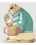  &lt;3 anthro ashigara asian_clothing bare_chest belly blush brown_body brown_fur clothing east_asian_clothing eyebrows flower fur ginsingoo1 green_hair hair jacket japanese_clothing lifewonders male mammal mawashi musclegut plant solo sumo_wrestler thick_eyebrows tokyo_afterschool_summoners topwear ursid video_games 