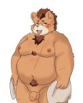  2022 anthro balls belly big_belly blush dragon_night800 flaccid genitals hi_res kemono male mammal moobs navel nipples oosumi_(tamacolle) overweight overweight_male penis scar solo tamacolle towel ursid 