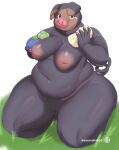  absurd_res anthro areola berry big_breasts breasts female food fruit generation_9_pokemon genitals grey_body grey_eyes hi_res holding_food holding_object huge_thighs inverted_nipples kneeling lechonk looking_at_viewer navel nintendo nipples nude oran_berry overweight overweight_anthro overweight_female pink_areola plant pokemon pokemon_(species) pokemon_berry pussy sasanoha6011 smile solo thick_thighs video_games 