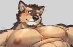  abs anthro brown_body brown_fur canid canine canis domestic_dog fur lifewonders live-a-hero looking_at_viewer male mammal muscular muscular_anthro muscular_male nipples oaks16 pecs pubraseer purple_eyes solo video_games 