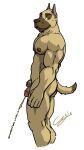  2012 abs anthro biceps bodily_fluids butt canid canine canis chestnuts_(artist) domestic_dog ears_up flaccid genital_fluids genitals great_dane green_eyes holding_penis looking_at_viewer male mammal mastiff molosser muscular muscular_arms nipples nude pecs peeing penis simple_background solo triceps urine urine_stream watersports white_background 