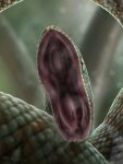  absurd_res amarali_(artist) ambiguous_gender feral green_body hi_res mouth_shot open_mouth python reptile scales scalie simple_background snake solo 