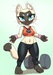  anthro barbell blue_eyes breasts clock clothed clothing daigaijin domestic_cat felid feline felis female hi_res mammal midriff navel pawpads pink_nose shirt siamese solo stopwatch tank_top topwear watch whiskers 