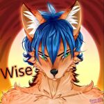  blue_hair canid canine culpeo_fox green_eyes hair lycalopex male mammal solo wise_(character) 