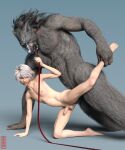  2022 3d_(artwork) anal anal_penetration anthro athletic athletic_male balls biceps biped blaidd_(elden_ring) canid canine canis claws digital_media_(artwork) doggystyle duo elden_ring erection eyes_closed from_behind_position fromsoftware fur genitals girly grey_body grey_fur hair hi_res human human_on_anthro humanoid_genitalia interspecies leash leash_pull leg_grab long_hair male male/male mammal mane muscular muscular_anthro muscular_male navel nipples nude pecs penetration penis raised_leg sex short_hair simple_background teeth ugnaughtsden video_games white_hair wolf 