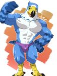  abs accipitrid accipitriform animal_crossing anthro avian biceps bird blue_body briefs bulge clothing eagle flexing hi_res male muscular muscular_anthro muscular_male nintendo one_eye_closed pecs pierce_(animal_crossing) shirako solo talons underwear video_games wink 