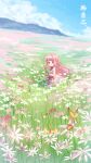  1boy 1girl artist_request blush brown_eyes bug butterfly cat chinese_commentary chinese_text clear_sky cloud commentary_request day dress field flower flower_field grass highres holding holding_flower long_hair looking_at_viewer momo_(miracle_nikki) mountainous_horizon nikki_(miracle_nikki) official_art pink_dress pink_hair shining_nikki sky smile translation_request yellow_cloak 